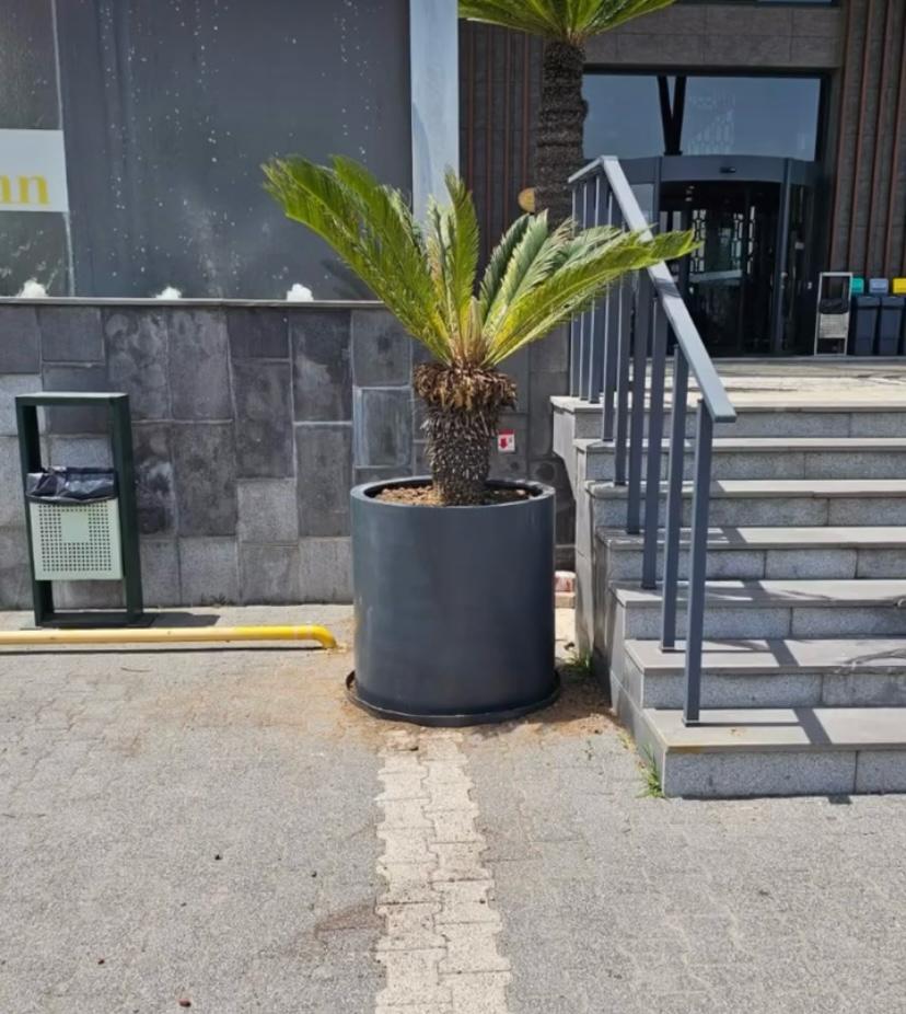 Duman Manken Ürün 169